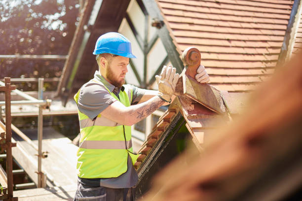 Best Roof Maintenance Services  in Unalaska, AK